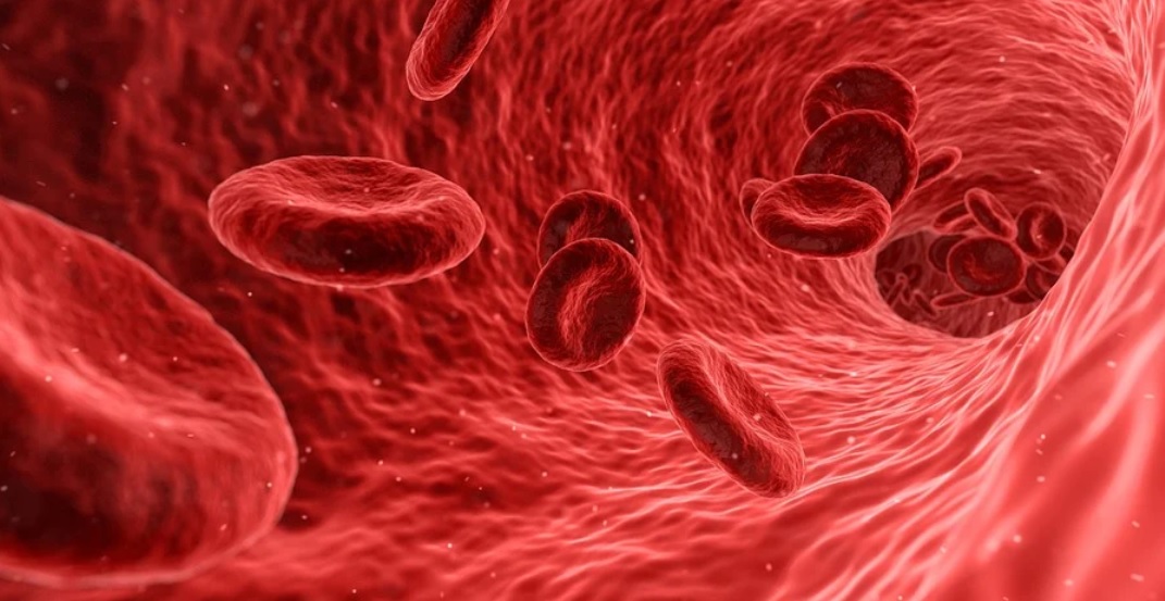 O tromboembolismo venoso acontece quando um coágulo se forma na circulação sanguínea, prejudicando o fluxo de sangue nas veias pelo organismo. Essa do