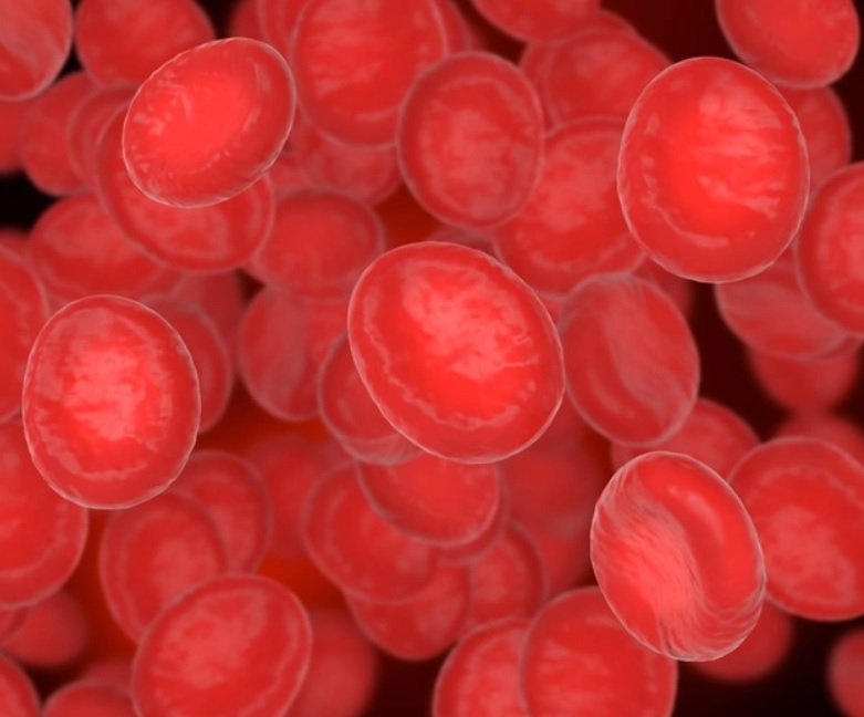 A macroglobulinemia de Waldenström (MW) é uma doença rara das células B, caracterizada pela produção monoclonal de imunoglobulinas M